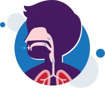 ventilation-normal-breathing-respiratory-system-illustration